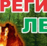 Штормовое предупреждение о высокой и чрезвычайной пожарной опасности лесов на территории Республики Татарстан - Азнакаевский район